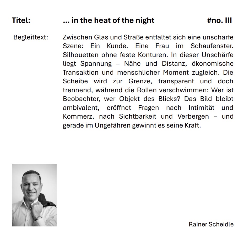… in the heat of the night #no. III — accompanying work description panel